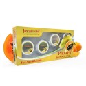 Aryanveda Papaya Facial Kit - 210gm