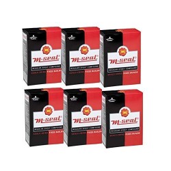 Pidilite M-Seal Regular Epoxy Compound - 100gm (Pack of 6)