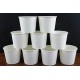 Disposable Paper Glass - 100ml (Pack of 10)