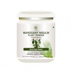 Mahogany Insulin Plant (Costus Igneus) Powder - 200gm