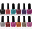 Makeup Mania Pastel Color HD Shine Nail Polish (Set of 12)