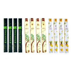 Forest Fragrance Combo of Black Forest White Forest and Forest Pineapple Incense Stick