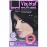 Vegetal Bio Colour (Soft Black) - 150gm