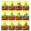 MasKing Jeju Root Facial Sheet Mask for Skin Glowing Pack of 12