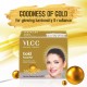 VLCC Natural Sciences Gold Facial Kit 60gm