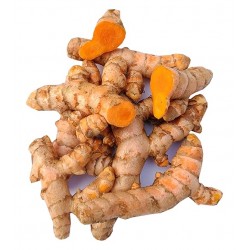 Kurkuma Turmeric Roots - ( 250g )