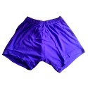 Yoga Shorts - Iyengar Type (Purple)
