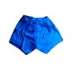 Yoga Shorts - Iyengar Type (Blue)