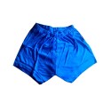 Yoga Shorts - Iyengar Type (Blue)