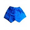 Yoga Shorts - Iyengar Type (Blue)
