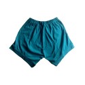 Yoga Shorts - Iyengar Type ( Sky Blue )