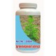 Tonga Herbs Artemisinin Extract Powder (200g)