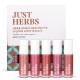 Just Herbs Ayurvedic Liquid Matte Lipstick Kit Set Of 5 - 5 Ml