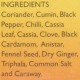 Everest Masala, Garam, 100g Carton