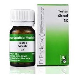 Dr. Reckeweg Testes Siccati Trituration Tablet  pack of 4
