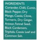 Everest Pav Bhaji Masala, 100g Carton