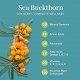 Berryheal Omega 7 Rich Sea Buckthorn Oil Capsules 30 Capsules - 500MG