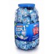 COOL1 Mints Sugar-Free Peppermint Flavour (Sachets in Jar packing) 220 Sachets of 2 Mints Each 220 g per Jar