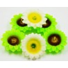 ME & YOU Paraffin Wax Floating Candles for Diwali & Christmas Decoration, Pack of 6 Flower