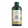 The Body Shop Ginger Shampoo 250 ML -For Dry, Flaky Scalps Vegan