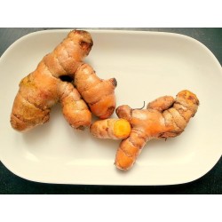 TURMERIC FRESH ROOTS 400 GM