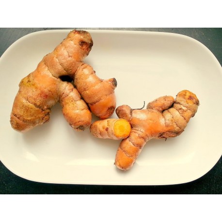 TURMERIC FRESH ROOTS 400 GM