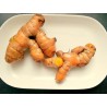 TURMERIC FRESH ROOTS 400 GM