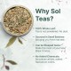 SOL - Reinvent & Restore Liver Detox Herbal Tea Bags-Dandelion Tea for Fatty Liver,Contains Milk Thistle (20 Tea Bags) 40 Grams