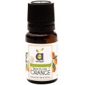Anveya Orange Essential Oil | Natural & Pure | for Steam Inhalation, Diffuser,