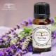 All Naturals Clary Sage Essential Oil