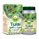Basic Ayurveda Tulsi (Basil) Tablet