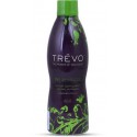 Trevo The Power of Wellness Nutrition Drink  (1 L, mix Flavored)