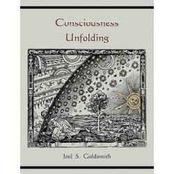 Consciousness Unfolding  (English, Paperback, Goldsmith Joel S)