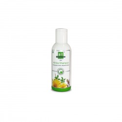 B&T USA ARNICA SHAMPOO 250 ML