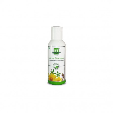 B&T USA ARNICA SHAMPOO 250 ML