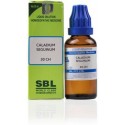 SBL Caladium Seguinum 30CH Liquid 30 ml (pack of 2)
