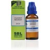 SBL Caladium Seguinum 30CH Liquid 30 ml (pack of 2)