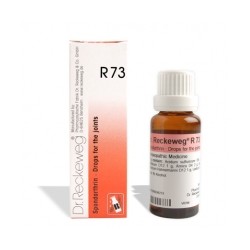 Dr. Reckeweg R73 Spondarthrin Drops 22 ml X 4