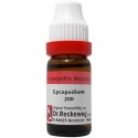 Dr. Reckeweg Lycopodium Dilution 200 CH 11 ml (pack of 2)