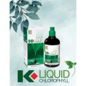 K-Link K-Liquid Chlorophyll 250ml (Fresh Pack)