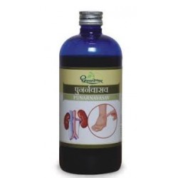 Dhootapapeshwar Punarnavasav