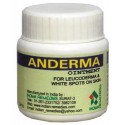 Indian Remedies Anderma Ointment (25 gm) (Pack of 3)