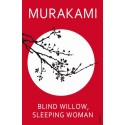 Blind Willow Sleeping Woman Paperback – 5 July 2007