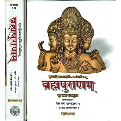 Brahma Purana (set of 2 Volumes) Hardcover – 1 January 2016