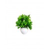 Artificial Green Leaves Plant with Apple Pot (16 cm, Green, 1 Piece)