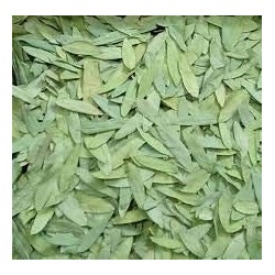Senna Leaves Cassia Angustifolia 500gm