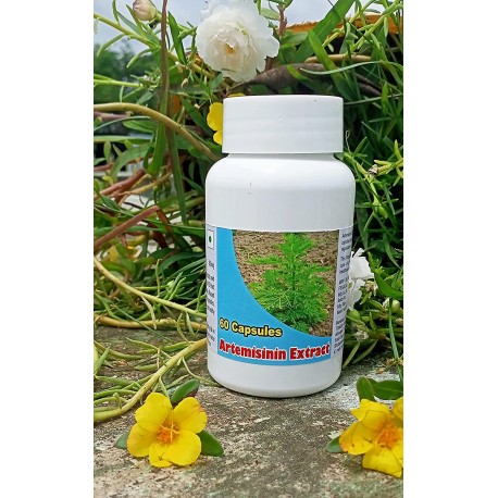 Tonga Herbs Artemisinin Extract Capsule (60 Capsules)