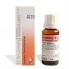 Dr. Reckeweg R11 Rheumatism Drop - 22ml - (Pack of 2)