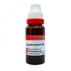 Dr. Reckeweg Ornithogalum Mother Tincture Q 20ml