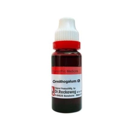 Dr. Reckeweg Ornithogalum Mother Tincture Q